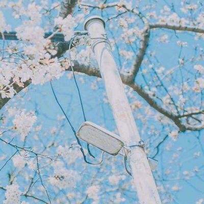 妖行九州最新版下载
